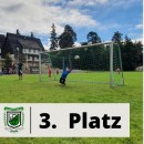 Gelungener Turnierauftritt der F-Junioren