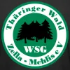 WSG Zella-Mehlis