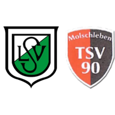 (D) Luisenthaler SV <span class="nowrap bold mx-1">4 : 1</span> TSV 90 Molschleben