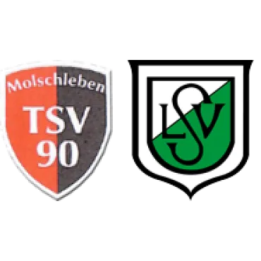 (D) TSV 90 Molschleben <span class="nowrap bold mx-1">0 : 5</span> Luisenthaler SV