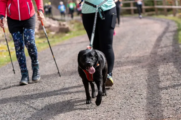 Talsperrenlauf Teil 2
