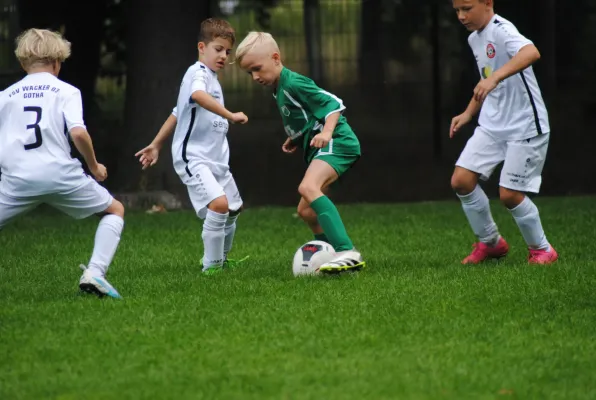 03.09.2023 FSV Wacker 03 Gotha vs. Luisenthaler SV