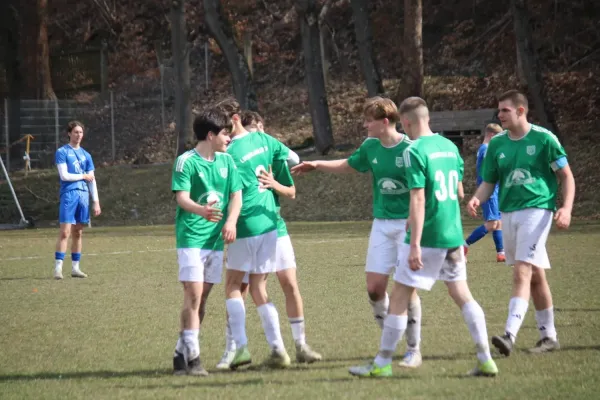 23.03.2025 Luisenthaler SV vs. Fahner Höhe