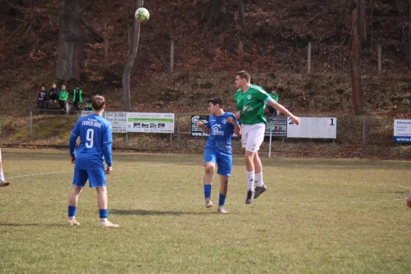 23.03.2025 Luisenthaler SV vs. Fahner Höhe