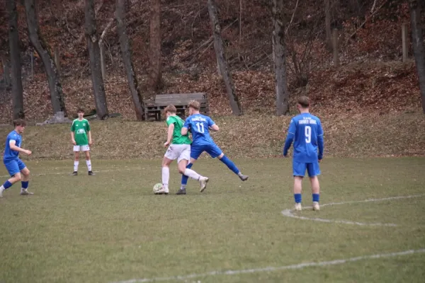 23.03.2025 Luisenthaler SV vs. Fahner Höhe