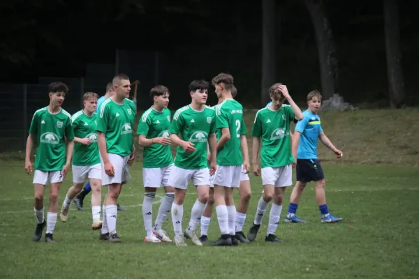 23.05.2025 Luisenthaler SV vs. SpVgg Siebleben 06