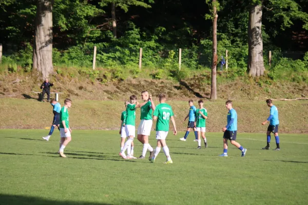 23.05.2025 Luisenthaler SV vs. SpVgg Siebleben 06