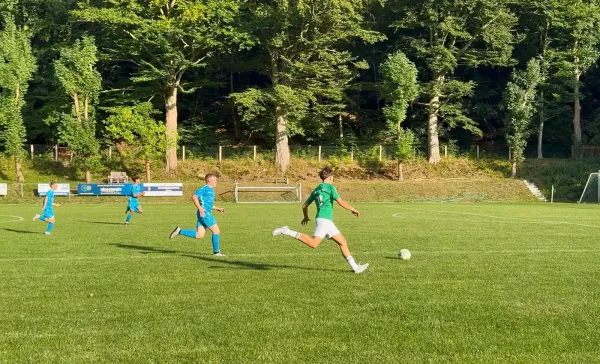 13.08.2025 Luisenthaler SV vs. WSG Zella-Mehlis