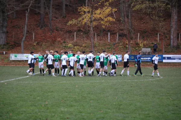 15.11.2025 Luisenthaler SV vs. SG Fortuna Remstädt II