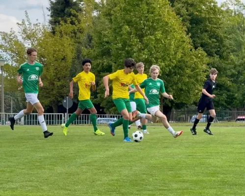 30.08.2025 SV Westring Gotha vs. Luisenthaler SV