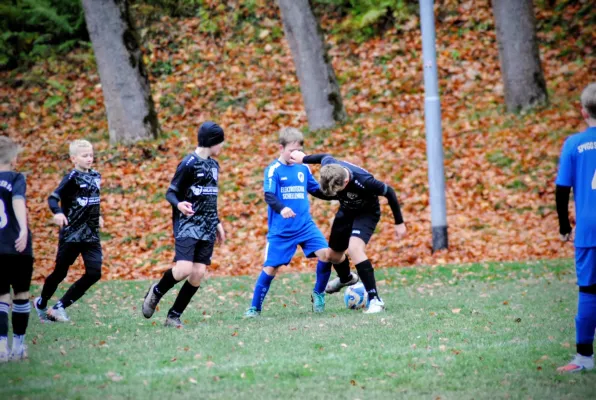 02.11.2025 Luisenthaler SV vs. SpVgg Siebleben 06