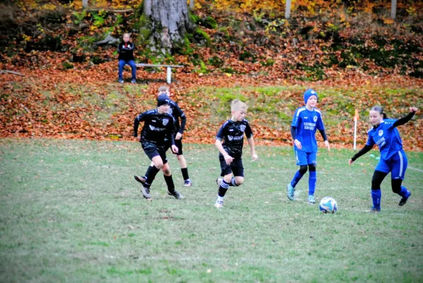 02.11.2025 Luisenthaler SV vs. SpVgg Siebleben 06