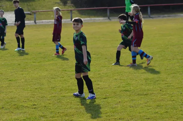 28.02.2026 TSV Großfahner vs. Luisenthaler SV