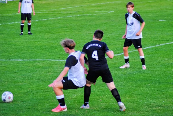 08.09.2026 JFC Nesse Apfelstädt II vs. Luisenthaler SV