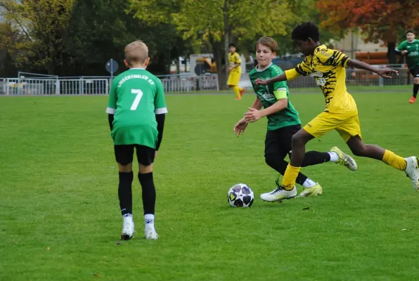 10.10.2026 SV Westring Gotha vs. Luisenthaler SV